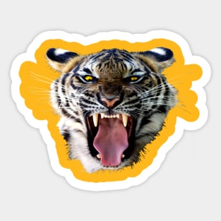 Tiger Sticker